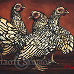Gossip Chicks, oil painting of three chickens in oil by Eugenia Talbott