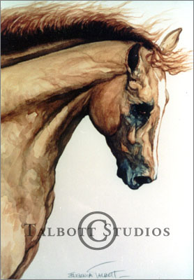 Portrait of M.T. Dubai, original watercolor painting of an Arabian horse by Eugenia Talbott