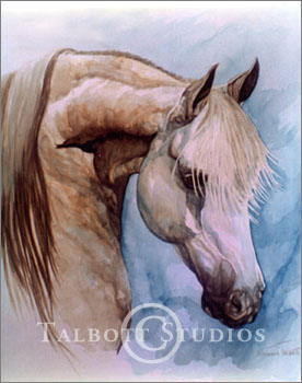 Portrait of Diamond Robert, original watercolor painting of a grey Arabian horse by Eugenia Talbott
