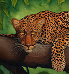 First Glance, original oil painting of an African leopard by Eugenia Talbott