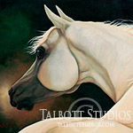 Portrait of Morning's Glory, original oil painting of an Arabian horse by Eugenia Talbott