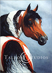 Portrait of M.T. Dona Meche, original oil painting of a half Arab Mustang mare by Eugenia Talbott
