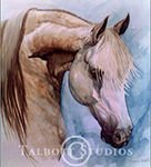 Portrait of Diamond Robert, original watercolor painting of a grey Arabian horse by Eugenia Talbott