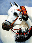 Portrait of Mei Spacho, original oil painting of an Arabian horse in traditional native costume by Eugenia Talbott