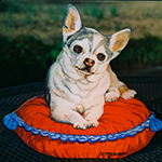 Free standing painting of a Chihuahua, painted on wood.