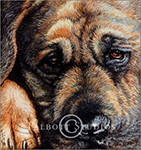 Watercolor portrait of Bruiser, a pet dog, by Eugenia Talbott