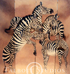 Zebra Dance, original painting of zebras playing by Eugenia Talbott