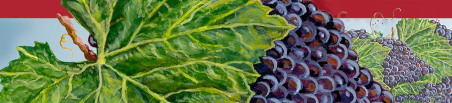 Banner / header image, detail of a watercolor painting of grape clusters and vines by artist Eugenia Talbott